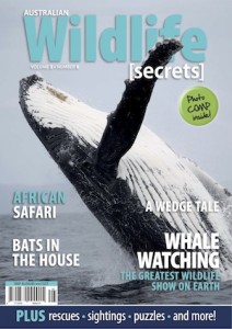 AWS-Vol2No5-Cover-400-212x300