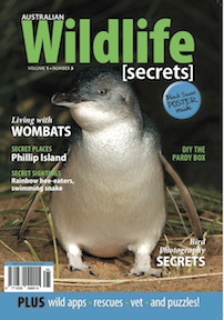AWSvol1no5_cover_large