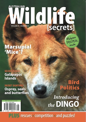 Vol1No6Cover_300