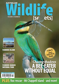 Australian Wildlife Secrets Vol4No3 Cover Small