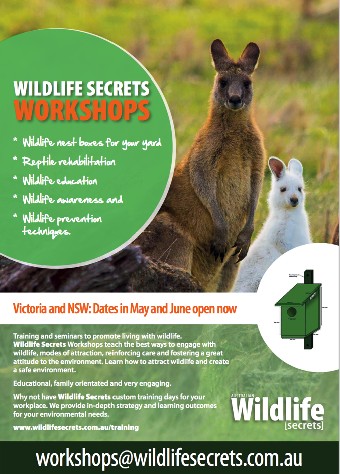 Wildlife Secrets Workshops