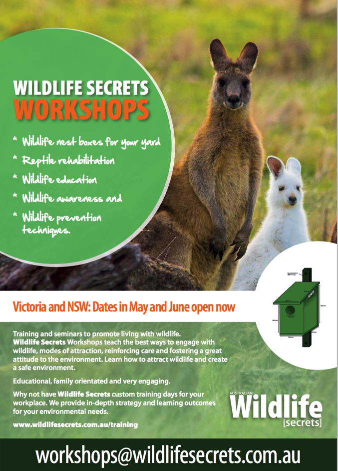 Unlock Wildlife Secrets Master This Crucial Identification Skill - f00ug59